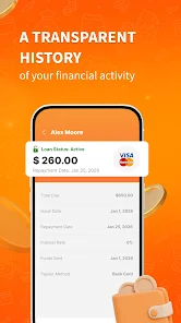 Take out a loan Screenshot3