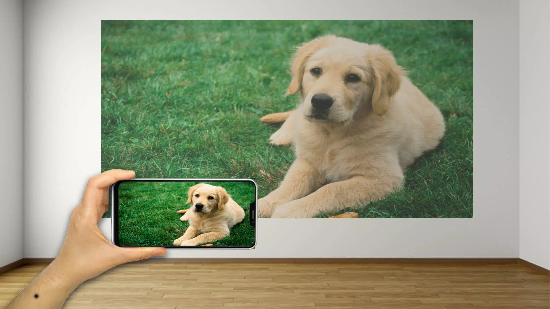 Video Projector Flashligt wall Screenshot1