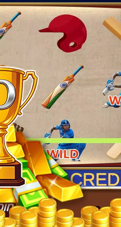 Cricket Rapid Real Screenshot3