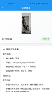 识鱼 Screenshot2