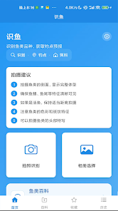 识鱼 Screenshot1