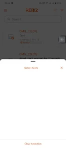 rebizinsight Screenshot6