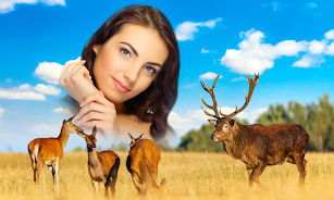 Wild Animal Photo Frames Screenshot3