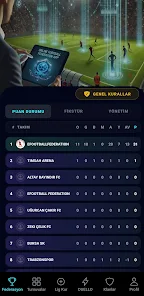 Online Football Federation Screenshot1