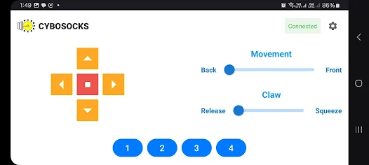 Cybosocks Screenshot2