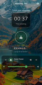 Momento Zen Screenshot6