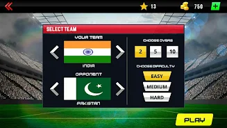Real World Cricket Tournament Screenshot5