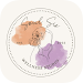 Soulsis Wellness Studio APK