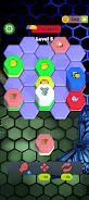 Hexa Zoo Screenshot2