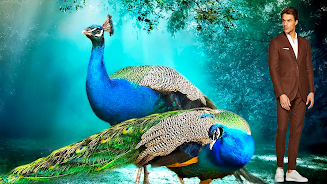 Peacock Photo Frames & Editor Screenshot10