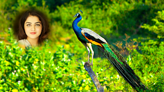 Peacock Photo Frames & Editor Screenshot8