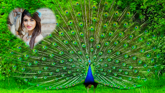 Peacock Photo Frames & Editor Screenshot5