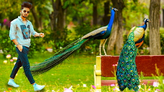 Peacock Photo Frames & Editor Screenshot4