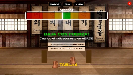 Taekwondo Master Screenshot1