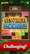 Gem Block Puzzle Screenshot3