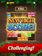 Gem Block Puzzle Screenshot9