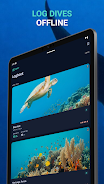 Reef Screenshot6