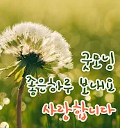 안녕하세요 Screenshot1