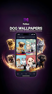 PicMaze: Premium 4K Wallpapers Screenshot8