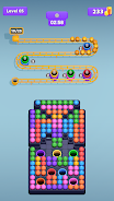Balls Sort Express Screenshot1