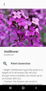 AI Plant Identify & Care Screenshot1