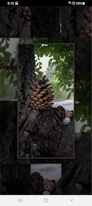 Picture Tile Puzzle Screenshot6