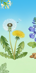 Herb Remedy Studio Screenshot1