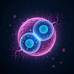 567 slots APK