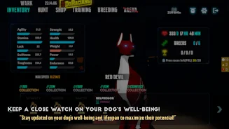 DRV: Explorers Screenshot4