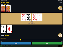 Alice and Friends Learn Poker Screenshot9