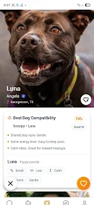 Pawfectly Screenshot2
