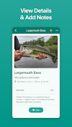 Fish Ace Screenshot4