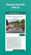 Fish Ace Screenshot3