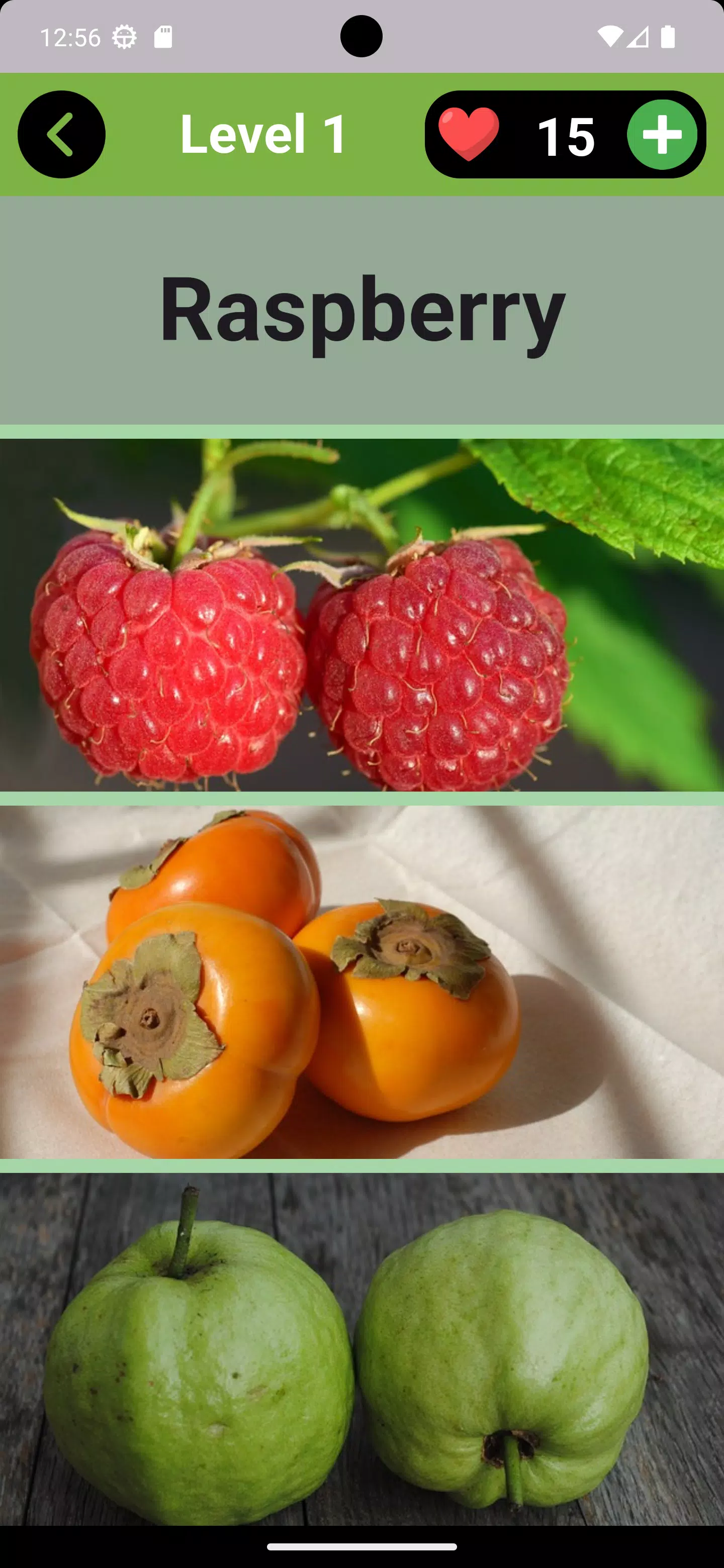 Fruits Quiz - Learn Fruit Name Screenshot2