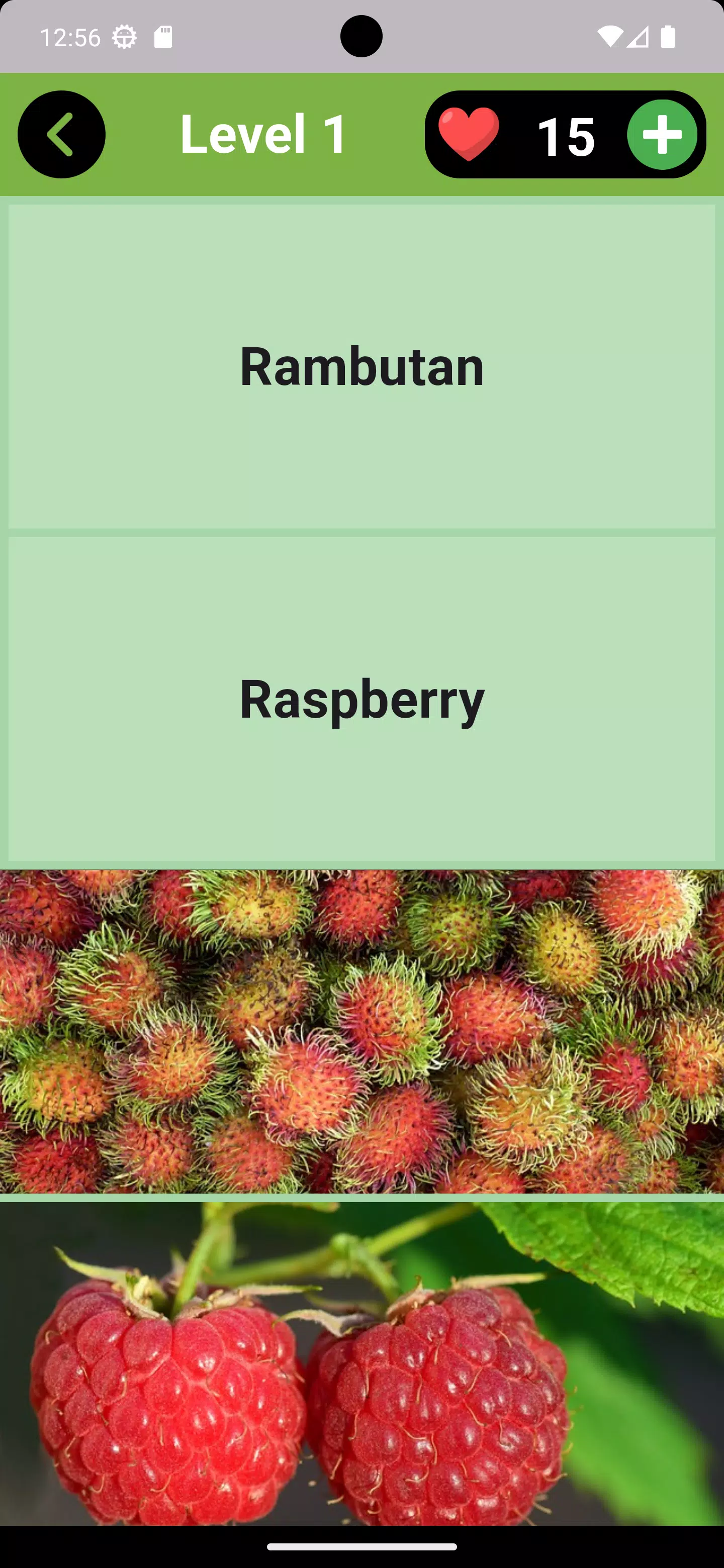 Fruits Quiz - Learn Fruit Name Screenshot3