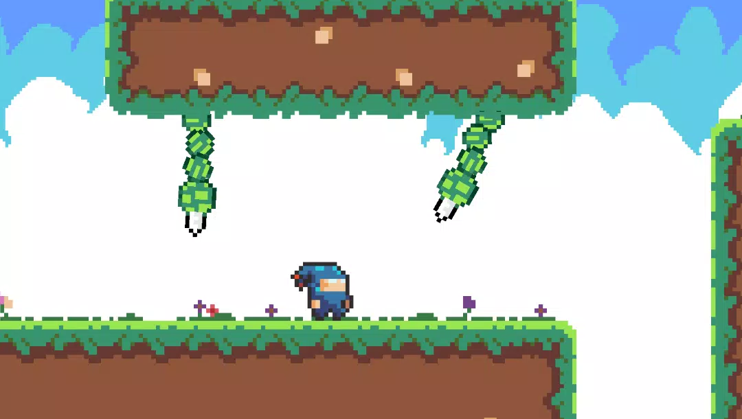Lost Flowers Screenshot7