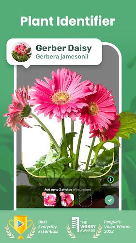 Blossom Screenshot1