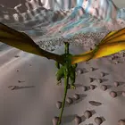 Flying Dragon Game APK