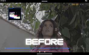 Prismatica Pro Screenshot9