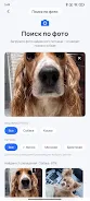 PetsID Screenshot6