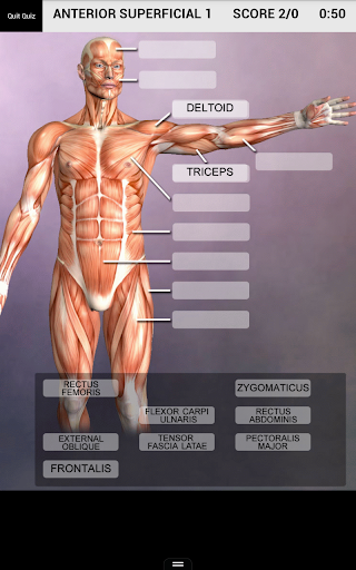 Muscle and Bone Anatomy 3D Screenshot3