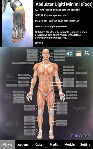 Muscle and Bone Anatomy 3D Screenshot1