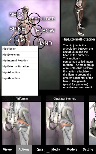 Muscle and Bone Anatomy 3D Screenshot2